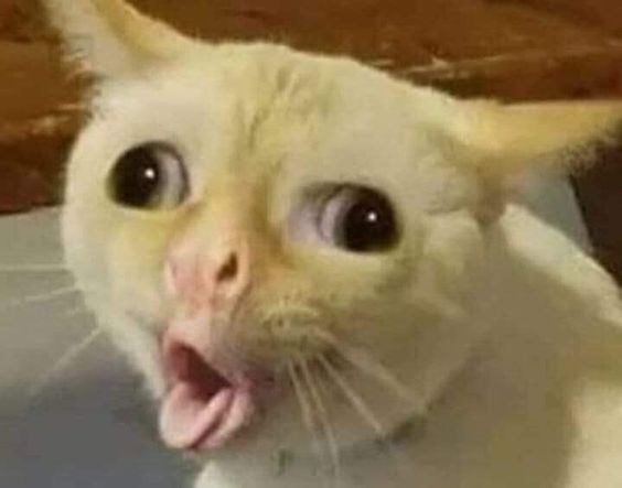 Oẹ oẹ oẹ.