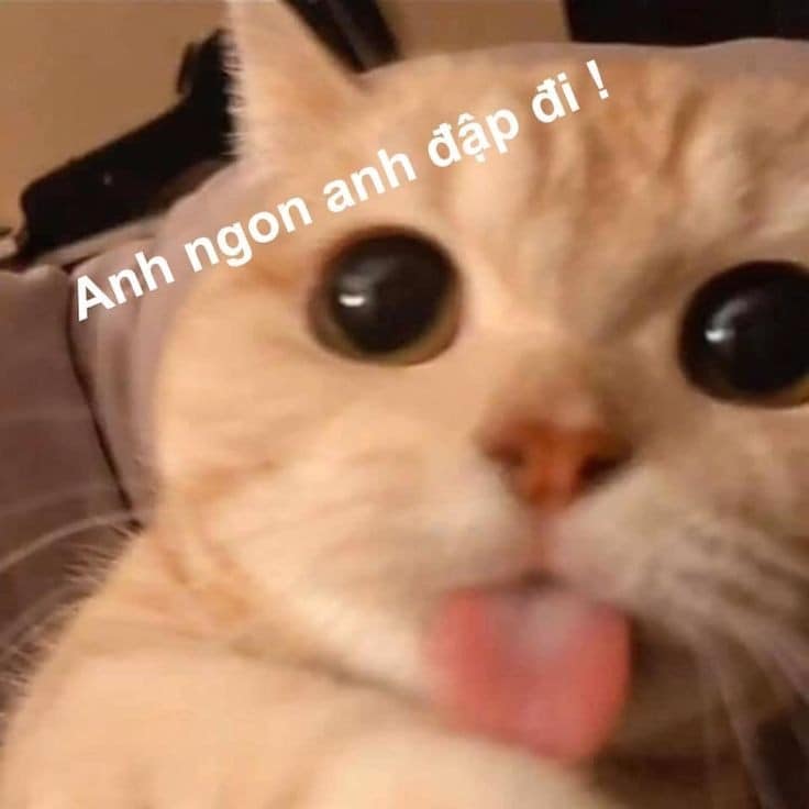 Anh ngon anh đập thử đi!