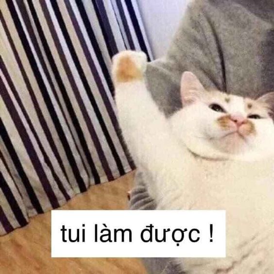 Tui làm được mà!