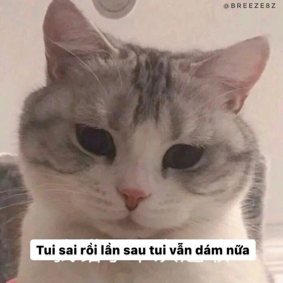 Tui sai rồi lần sau tui vẫn dám nữa...