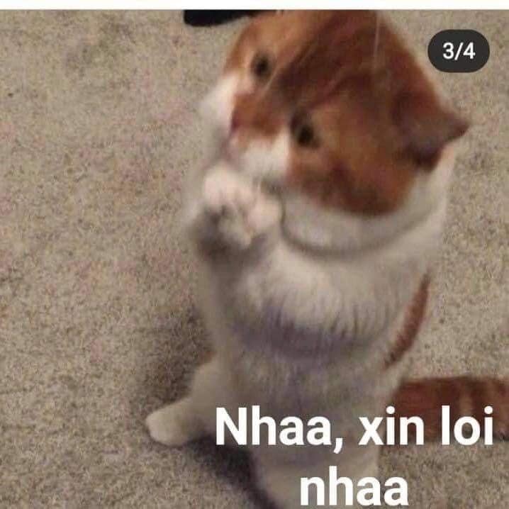 Nha, tha lỗi anh nha, hứa lần sau không thế nữa mà!