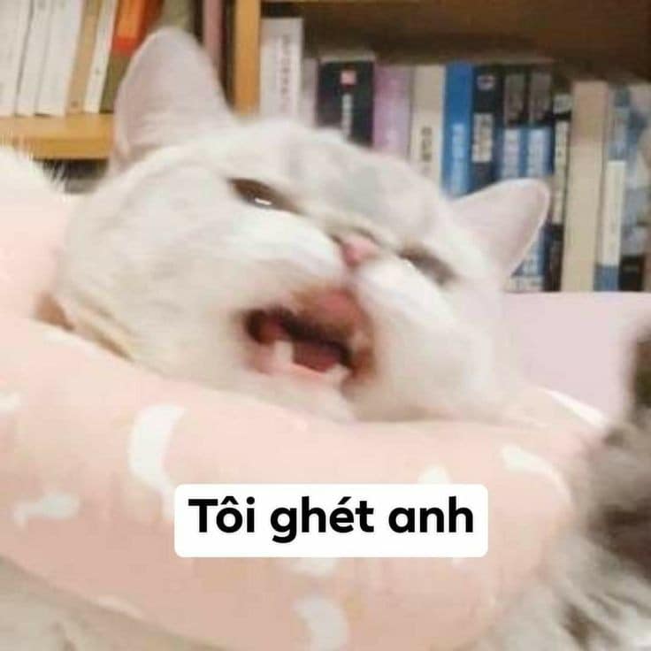 Tôi ghét anh, biến đi!