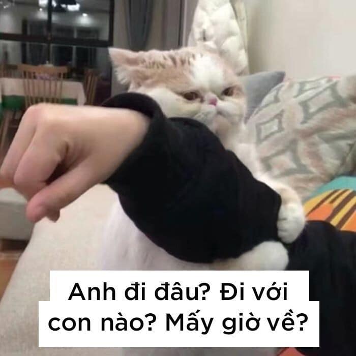 Anh đi đâu? Đi với con nào? Mấy giờ về?