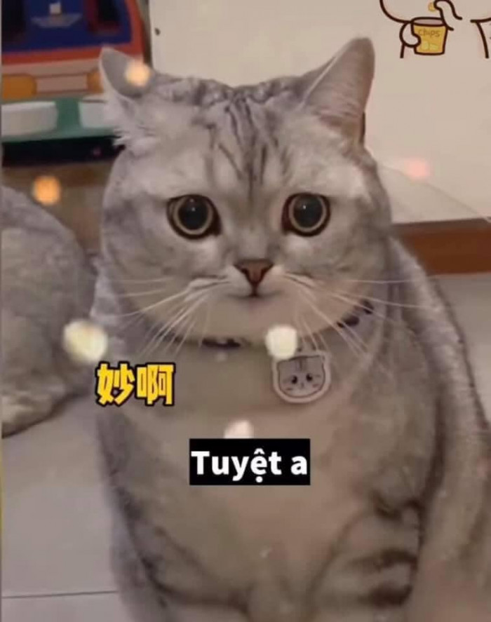 Anh quá tuyệt luôn!