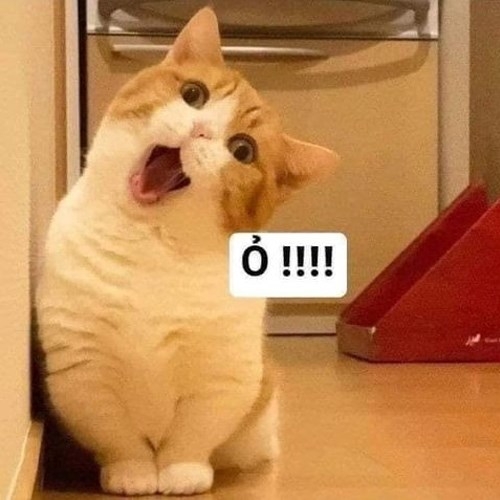 Ỏ!!!