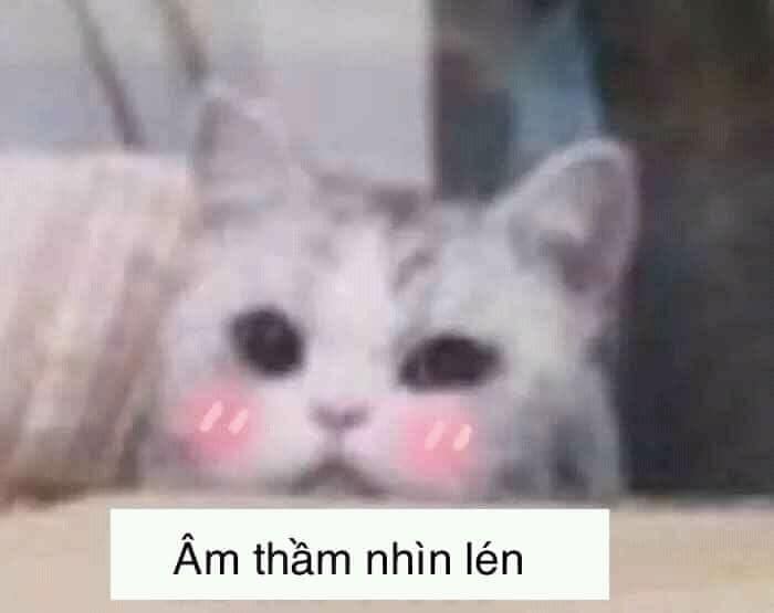 Âm thầm nhín lén, mong em hỉu!