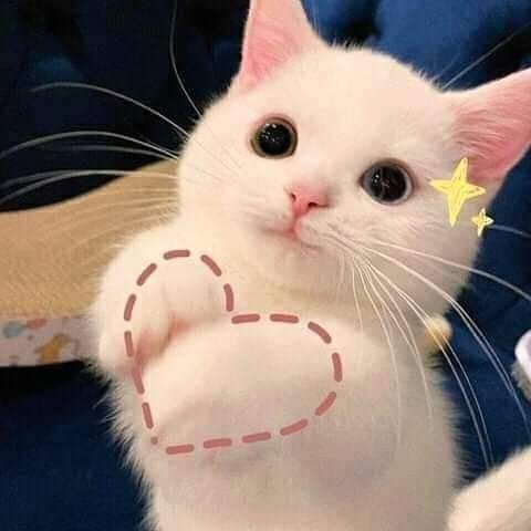 Tặng anh một trái tim nè!