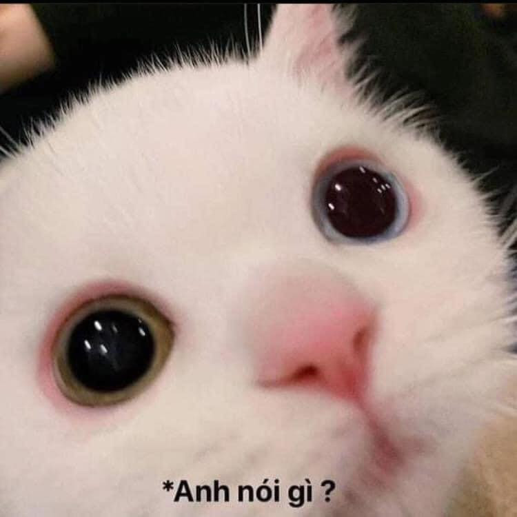 Anh nói gì, bé không nghe rõ?