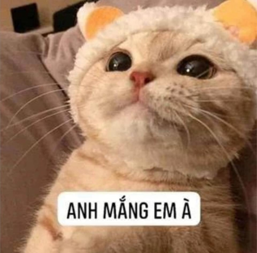 Anh mắng em à? Nói to thế á? Em biết ngay mà anh chỉ thương em lúc đầu.