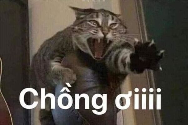 Chồng ơiii cứu em!