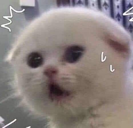 Ủa gì zậy trời?
