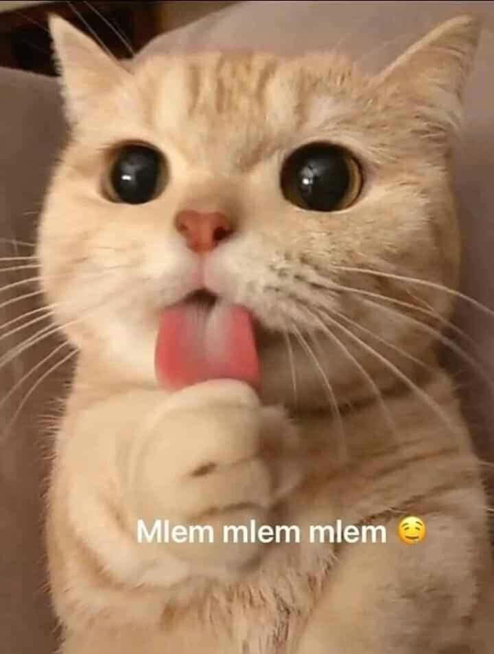 Mlem Mlem Mlem làm tí không anh?