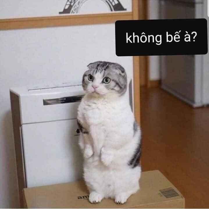 Thế bây giờ anh có bế em không hay để anh khác bế?
