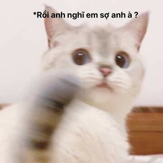 Goy anh nghĩ em sợ anh à?