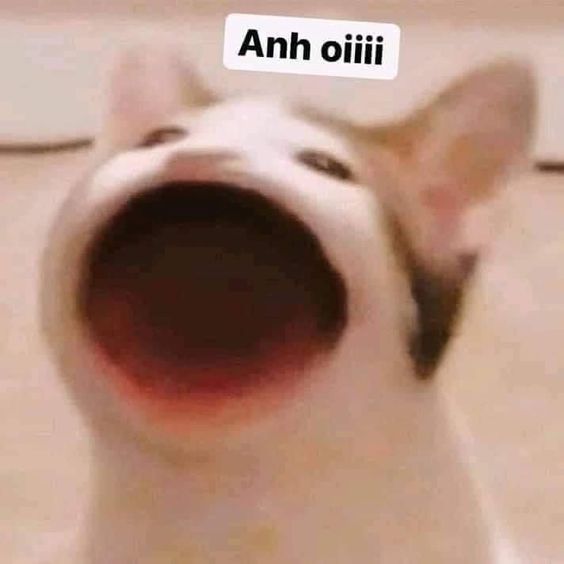 Anh ơiiii