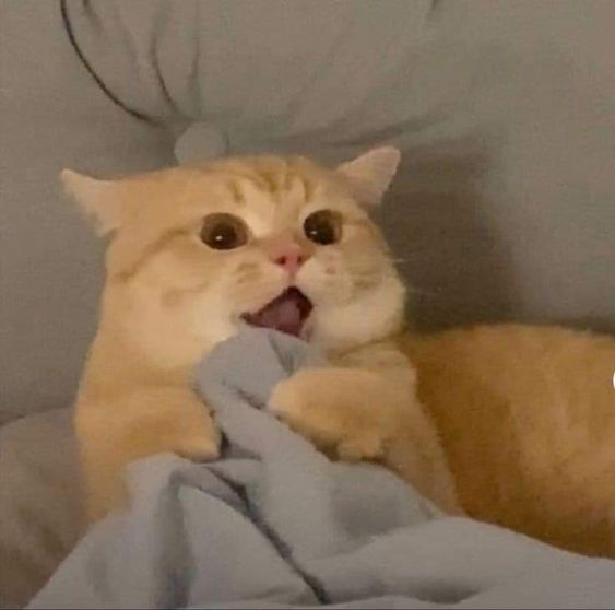 Hãy chiếm lấy em đi!