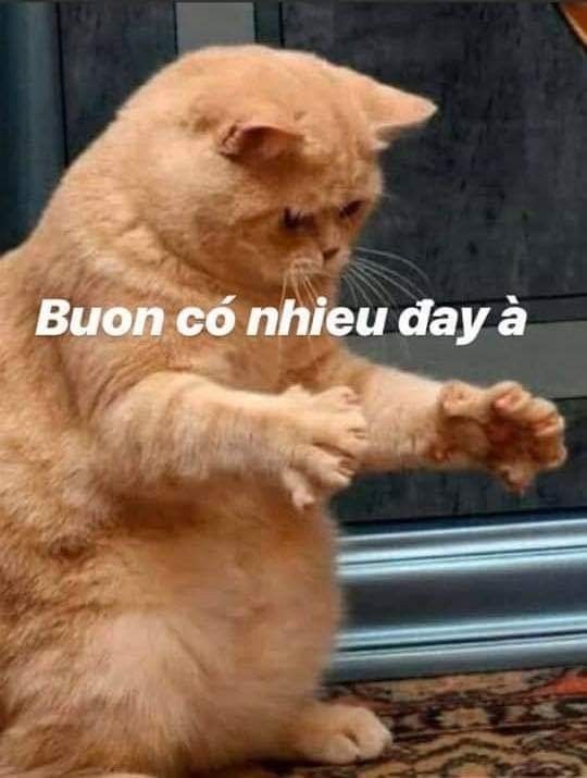 Buồn sương sương thôi, có nhiêu đây à!