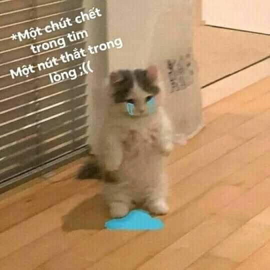Một chút chết trong tim, một nút thắt trong lòng.