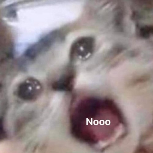 Nooo đừng bỏ emmm.