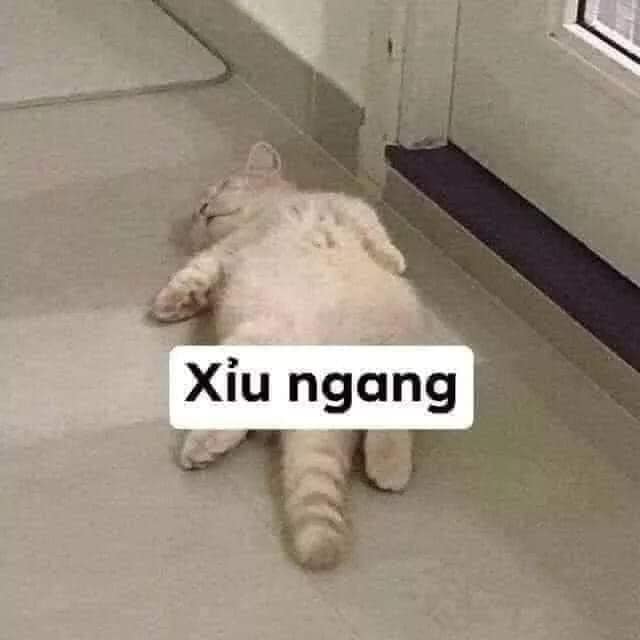 Xĩu ngang luôn.