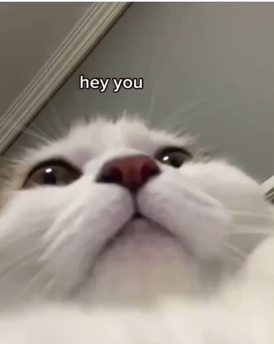 Hey you, I