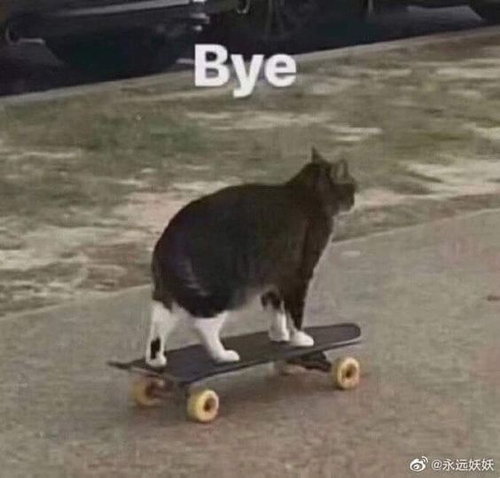 Bye tôi đi đây!