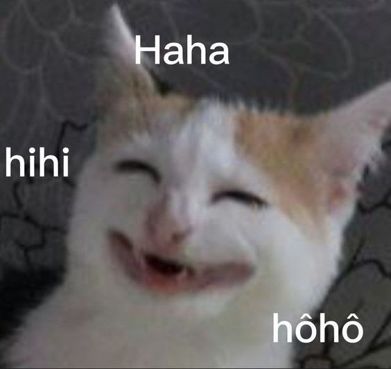 Haha mắc cười quá nhờ?