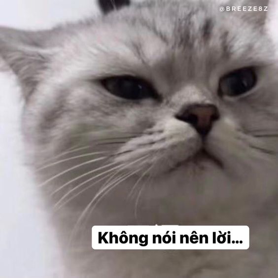 Tôi u uất, tôi câm lặng.