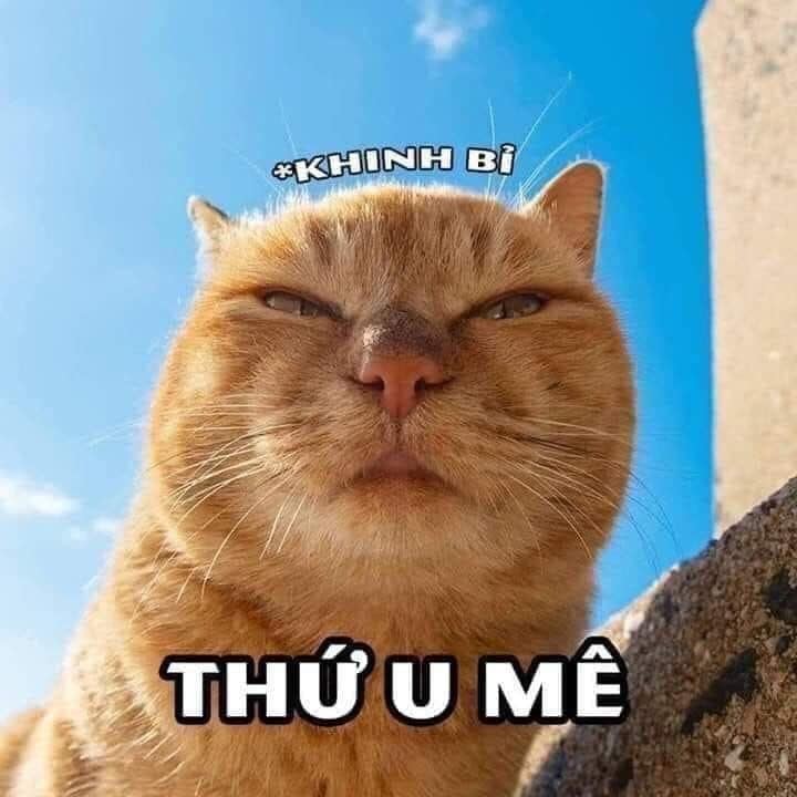 Khinh bỉ thứ u mê như nhà ngươi!