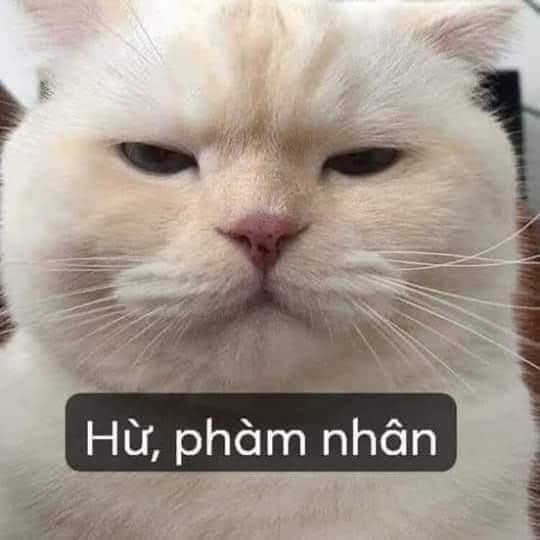 Hừ, thứ phàm nhân nhà ngươi.