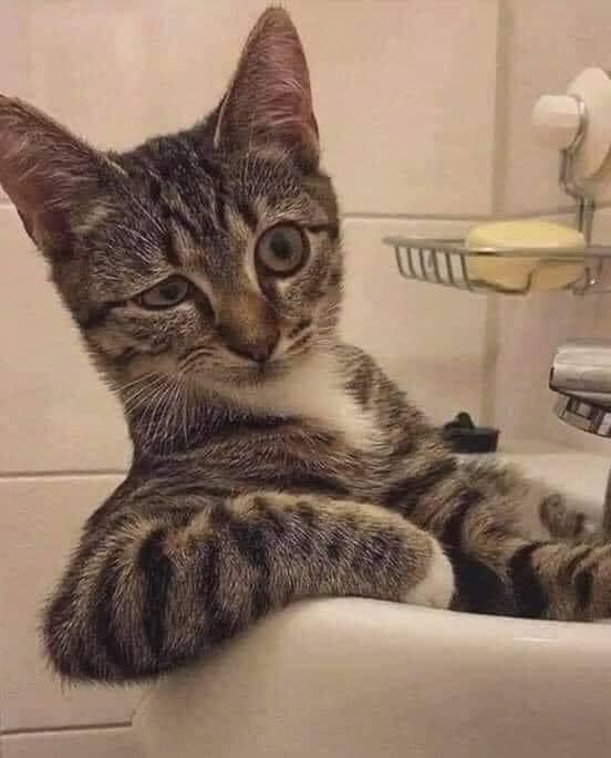 Ủa rồi sao?