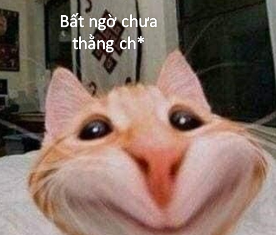 Một cú twist bất ngờ khiến tim rơi nhẹ