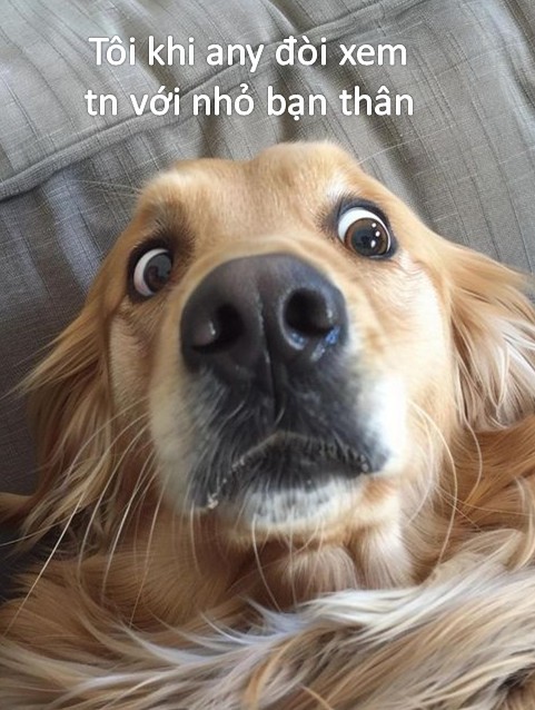 Tưởng như mọi chuyện ổn, ai ngờ đâu
