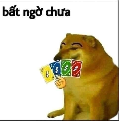 Chuyện xảy ra bất ngờ như cuộc đời mình vậy