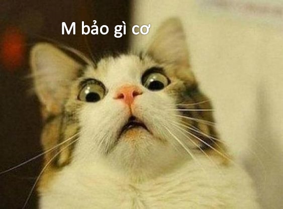 Bất ngờ không nằm ở hành động, mà ở thời điểm
