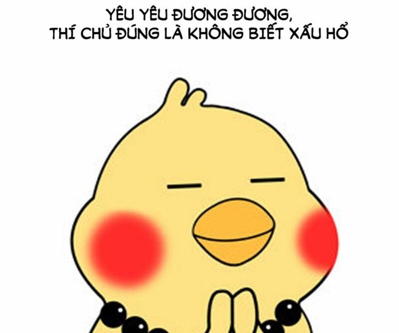 Meme ngại động vật