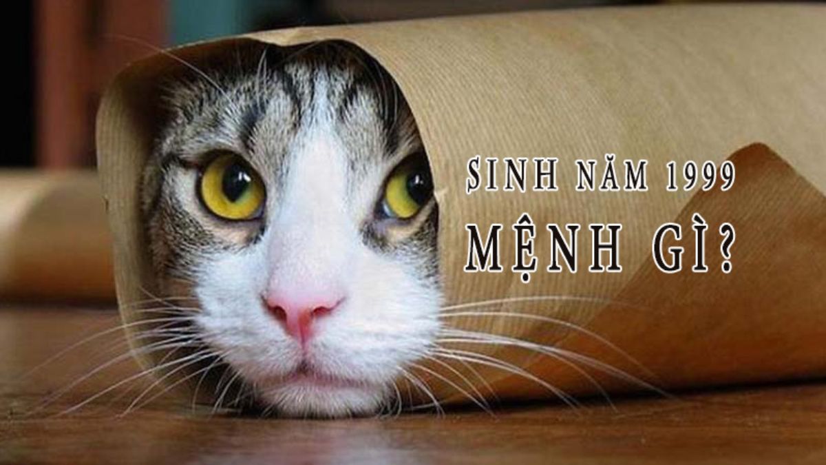 Nam, nữ 1999 mệnh gì? Hợp màu gì 2026?