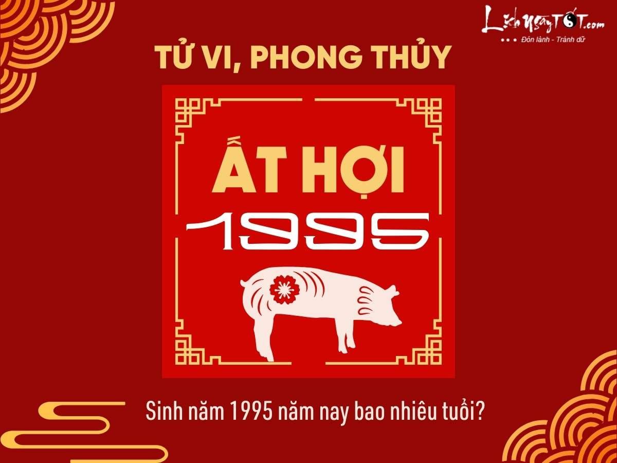Tuổi của người sinh năm 1995 và thông tin tử vi Ất Hợi