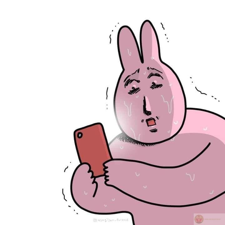 Không ai có thể phủ nhận sự đáng yêu mà meme thỏ hồng mang lại cho cộng đồng