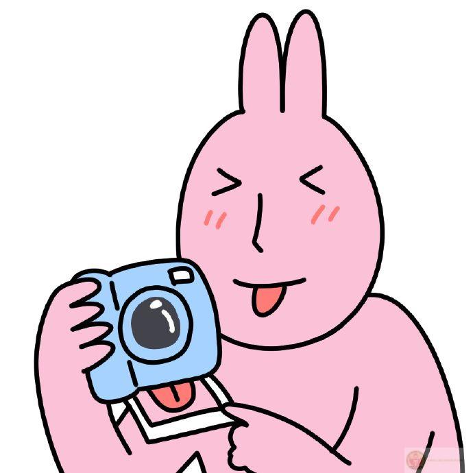 Ai cũng dễ dàng bật cười khi meme thỏ hồng xuất hiện trong những dòng bình luận