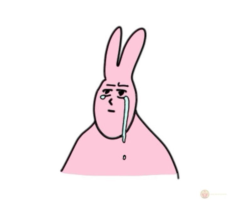 Nhờ meme thỏ hồng, những câu chuyện online trở nên sinh động và vui nhộn hơn hẳn