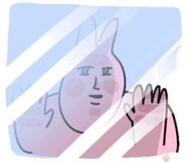 Nhờ meme thỏ hồng mà những câu chuyện đơn giản cũng trở nên hấp dẫn bất ngờ