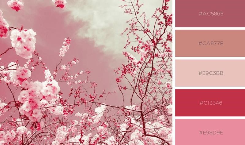 mau-pastel-pink