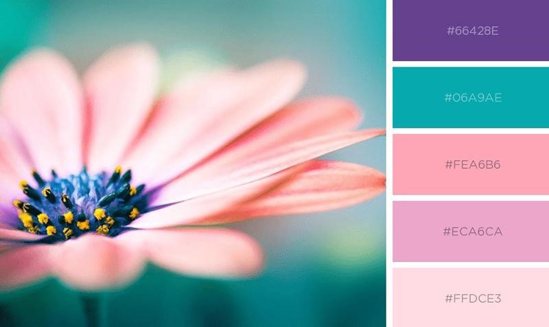 hong-pastel-voi-tim