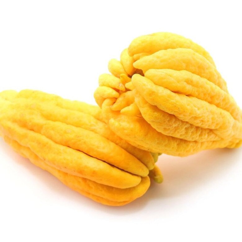 Muốn chọn được Phật thủ đẹp cứ nhớ quy tắc đếm này may mắn sẽ đến trong năm mới