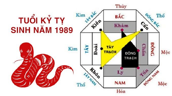 Tuổi Kỷ Tỵ hợp hướng nào? Bật mí sinh năm 1989 hợp hướng nào?