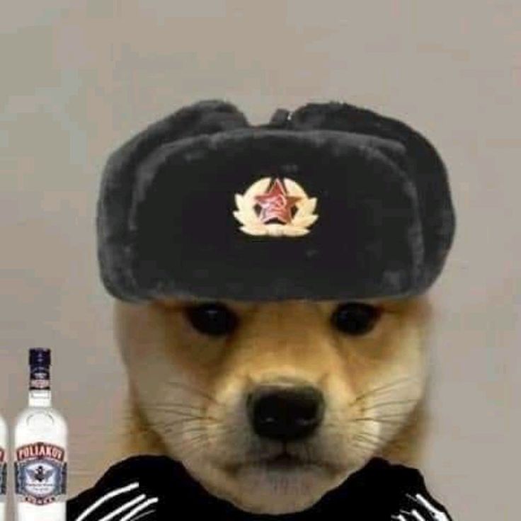 Đang chill thì bị FBI