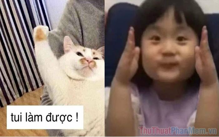 Tổng hợp những hình ảnh meme giơ tay đầy hài hước và sáng tạo