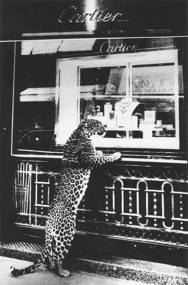 Moriyama___