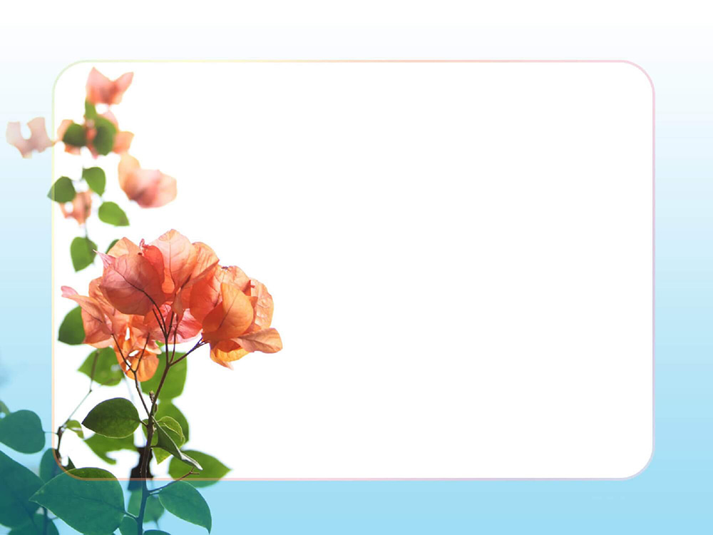 background powerpoint kết thúc